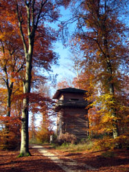Limesturm